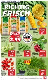 Ähnliche Grabpflege Angebote im Prospekt "Hier bin ich richtig" von Kaufland in Stralsund Ähnliche Angebote wie Grabpflege im Prospekt "Hier bin ich richtig" auf Seite 35 von Kaufland in Stralsund