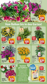 Blumenerde im aktuellen REWE Prospekt (Hamm) Blumenerde im REWE Prospekt "Dein Markt" mit 30 Seiten (Hamm)