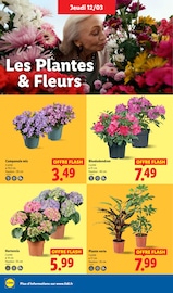 Fleurs Angebote im Prospekt "Préparer Pâques, ça vaut le coup." von Lidl Fleurs Angebote im Prospekt "Préparer Pâques, ça vaut le coup." von Lidl auf Seite 26