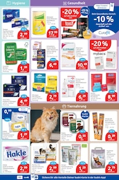 Binden Angebot im aktuellen budni Prospekt auf Seite 5
