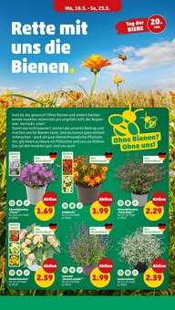 Pflanzen im Penny Prospekt "Wer günstig will, muss Penny." mit 43 Seiten (Nürnberg)