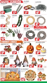 Kürbis im Wreesmann Prospekt in Görlitz Aktueller Wreesmann Prospekt mit Kürbis, "DEIN SAISON- & SONDERPOSTENMARKT!", Seite 8