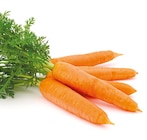 Bundmöhren im aktuellen Netto mit dem Scottie Prospekt