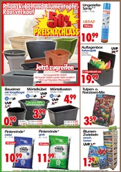 Blumenzwiebeln im Wreesmann Prospekt in Freiberg Aktueller Wreesmann Prospekt mit Blumenzwiebeln, "Aktuelle Angebote", Seite 3