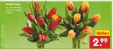 Aktuelles Herbsttulpen Angebot bei Netto Marken-Discount in Duisburg ab 2,99 €