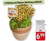 Stauden-Mix Herbstfest im Angebot bei EDEKA in Mannheim Stauden-Mix Herbstfest Angebote bei EDEKA Mannheim für 6,99 €