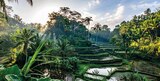 Bali Rundreise und Baden im REWE Prospekt Bali Rundreise und Baden von im aktuellen REWE Prospekt für 1.599,00 €