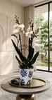 Orchidée à Carrefour dans Faye-sur-Ardin