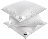 Kopfkissen „Polarstern“ im Angebot bei XXXLutz in Böblingen Kopfkissen „Polarstern“ Angebote von Billerbeck bei XXXLutz Böblingen für 59,99 €