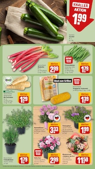 Gemüse im REWE Prospekt "Dein Markt" mit 26 Seiten (Oldenburg)