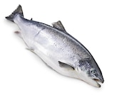 Lachs bei METRO im Prospekt "" für 8,76 €