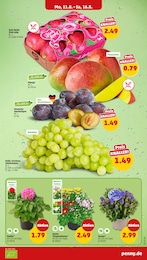 Helles Angebot im aktuellen Penny Prospekt auf Seite 3