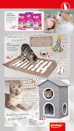 Aktueller Zookauf Prospekt mit Ente, "GUT VERSORGT INS NEUE JAHR!", Seite 7