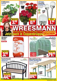 Wreesmann Prospekt Aktuelle Angebote mit  Seiten in Bad Münder (Deister) und Umgebung