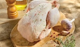 Poulet fermier de la Champagne prêt à cuire Label Rouge - IGP Blanc - Volailles Champenoises - Intermarché Super à Schiltigheim Poulet fermier de la Champagne prêt à cuire Label Rouge - IGP Blanc - Volailles Champenoises en promo chez Intermarché Super Schiltigheim à 6,95 €