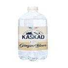 Ginger beer - SANS en promo chez Carrefour Clichy à 1,89 €
