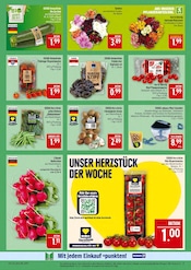 Aktueller Marktkauf Prospekt mit Blumen, "AUSWAHL RIESIG, PREISE NIEDRIG", Seite 9