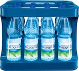 Mineralwasser Classic oder Medium im Angebot bei Netto Marken-Discount in Jena Mineralwasser Classic oder Medium Angebote von Thüringer Waldquell bei Netto Marken-Discount Jena für 4,49 €