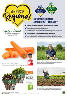 Salat im aktuellen EDEKA Prospekt (Stuttgart) Salat im EDEKA Prospekt "Aktuelle Angebote" mit 34 Seiten (Stuttgart)