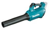 Aktuelles Akku-Gebläse Angebot bei Raiffeisen Waren GmbH in Braunschweig ab 129,99 €