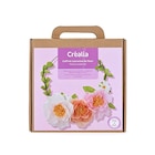 Cultura Chasseneuil-du-Poitou - Promo Coffret Couronne De Fleur En Papier Crépon - Créalia Promo Coffret Couronne De Fleur En Papier Crépon - Créalia à 7,99 € dans le catalogue Cultura à Chasseneuil-du-Poitou