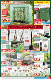 Gartenschere Angebot im aktuellen Norma Prospekt auf Seite 3