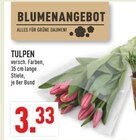 TULPEN Angebote bei Marktkauf Münster für 3,33 €