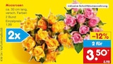 Moosrosen im Angebot bei Netto Marken-Discount in Ahaus Moosrosen Angebote bei Netto Marken-Discount Ahaus für 3,50 €
