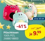 Plüschkissen für 9,99 € bei ROLLER im Angebot Plüschkissen im aktuellen ROLLER Prospekt