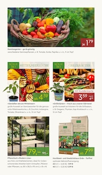 Gewächshaus im Pflanzen Kölle Prospekt "BLÜHENDE DUFTOASE" mit 14 Seiten (München)