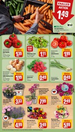 Ähnliche Tomatenpflanze Angebote im Prospekt "Dein Markt" von REWE in Offenbach Ähnliche Angebote wie Tomatenpflanze im Prospekt "Dein Markt" auf Seite 9 von REWE in Offenbach