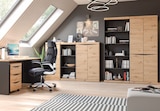 Aktenschrank im aktuellen Sconto SB Prospekt