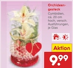 Aktuelles Orchideengesteck Angebot bei Netto Marken-Discount in Wuppertal ab 9,99 €