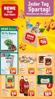 REWE Prospekt Dein Markt mit  Seiten in Mutterschied und Umgebung