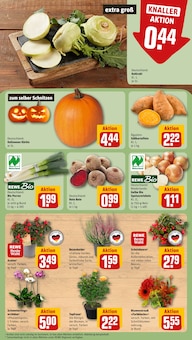 Kürbis im REWE Prospekt "Dein Markt" mit 24 Seiten (Frankfurt (Main))