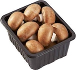 Champignons braun Angebote von Pelen bei EDEKA Hamm für 7,99 €