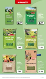 Garten Angebot im aktuellen Lidl Prospekt auf Seite 19