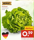Netto Marken-Discount Salzwedel (Hansestadt) Prospekt mit  im Angebot für 0,59 €