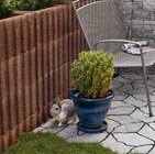 Pflanzstein Ratioflor im Angebot bei Hagebaumarkt in Coesfeld Pflanzstein Ratioflor Angebote bei Hagebaumarkt Coesfeld für 7,99 €