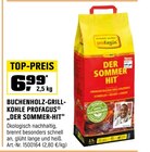 Aktuelles Buchenholz-Grillkohle „Der Sommer-Hit“ Angebot bei OBI in Chemnitz ab 6,99 €