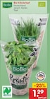 Kräutertopf im Angebot bei Netto Marken-Discount in Halle Kräutertopf Angebote von BioBio bei Netto Marken-Discount Halle für 1,29 €