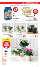 Plantes en promo dans le catalogue Hyper U à la page 63