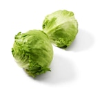 Deutscher Eisbergsalat Angebot in Sabow Deutscher Eisbergsalat im aktuellen Prospekt bei Lidl in Sabow