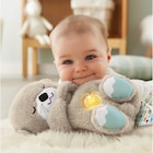 MA LOUTRE CÂLINS BONNE NUIT - FISHER PRICE en promo chez Auchan Hypermarché MA LOUTRE CÂLINS BONNE NUIT - FISHER PRICE dans le catalogue Auchan Hypermarché