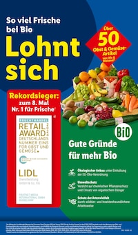 Kamin Angebot im aktuellen Lidl Prospekt auf Seite 15