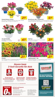 Blumen im aktuellen toom Baumarkt Prospekt (Gelsenkirchen) Blumen im toom Baumarkt Prospekt "Respekt, wer's selber macht." mit 18 Seiten (Gelsenkirchen)