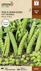 Promo Sélection pois et fèves INVIVO Nous on sème à 3,99 € dans le catalogue Delbard à Vierzon