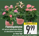 Flamingoblume im EDEKA Prospekt Flamingoblume von im aktuellen EDEKA Prospekt für 9,99 €