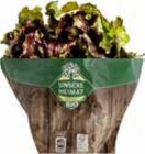 EDEKA - Bio Bunte Salate Angebot im Prospekt Bio Bunte Salate bei EDEKA im Prospekt "" für 1,99 €