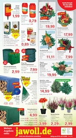 Grablicht im Jawoll Prospekt in Göttingen Aktueller Jawoll Prospekt mit Grablicht, "Sonderposten-Märkte", Seite 12